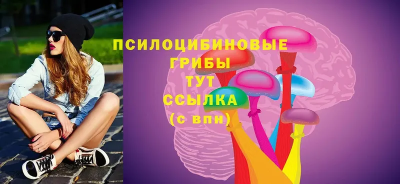 ОМГ ОМГ ссылка  Ряжск  Галлюциногенные грибы Psilocybe  наркотики 